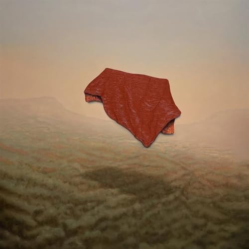 Come With Me And Hide [Vinyl]