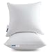 MoMA 18 x 18 Pillow Inserts (Set of 2) - Throw Pillow Inserts with 100% Cotton Cover - 18 Inch Square Interior Sofa Pillow Inserts - Decorative Pillow Insert Pair - White Couch Pillow