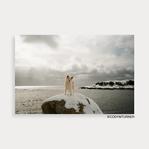 Fujifilm Fujifilm QuickSnap Flash 400 One Time Use 35mm