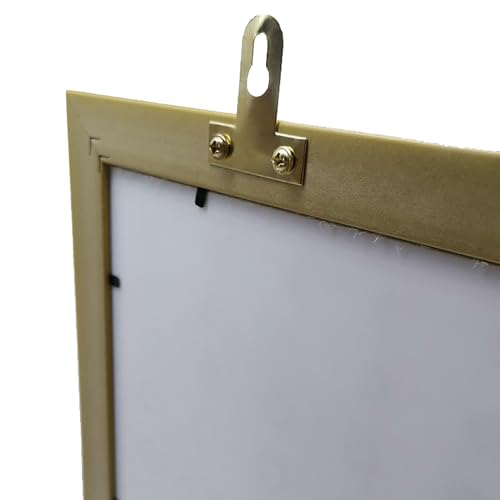 Image of 20PCS Photo Frame Backboard Concealed Hanging Buckle 40 Screws Gold Color Plated T-Shape Hanging Buckle Wall Decorative Pieces Photo Frame Hanging Artwork Pictures