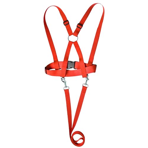 cpn[lX,qǂ̕s⏕ - qh~|[^ucpj Lv U s oRɍœK