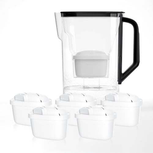 Wessper Jarra con filtro 2,7l, para de frigorífico, 6 filtros - Negro