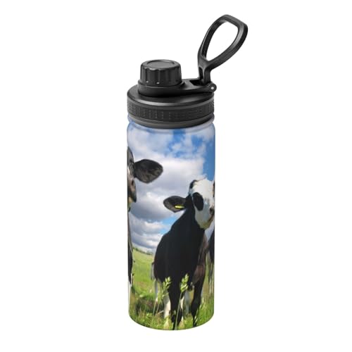  ΂̖쌴  R̕i XeX{g @r 500ml  ۗۉ ^fM X|[c{g e nht ^ Rh~  oR AEghA ʋ ʊw