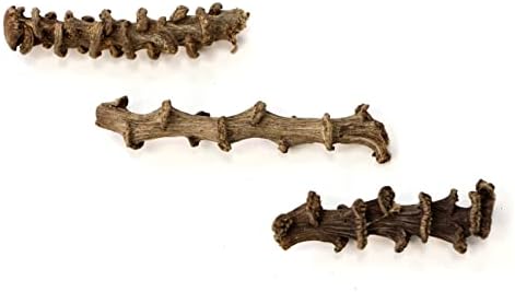 Snout and Shell Snout & Shell 10 Banana Stem Botanical Sticks - Terrarium, Vivarium Aquarium Decor Promotes Spawning Health Environment for Aquatic Pets Pieces 2-3 inches