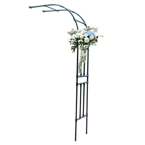 Pergola d'extérieur robuste pour vignes avec support treillis d'arche de jardin
