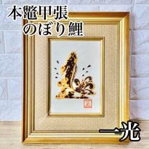 本べっ甲　魚　置物 Amazon.co.jp: 本鼈甲張 のぼり鯉 清瀬一光 長崎べっ甲工芸館 べ