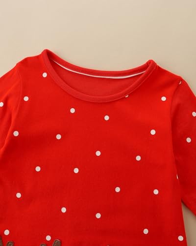 Image of Hongshilian Toddler Girls Longsleeve Dress Cotton Jersey Casual Dresses Cartoon Applique