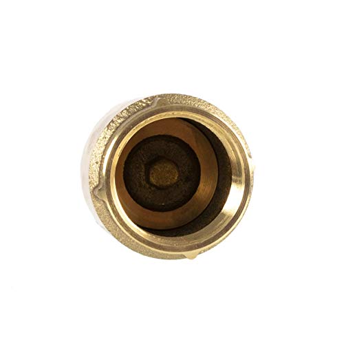 Foot Valve, 1 1/4" Female Connection