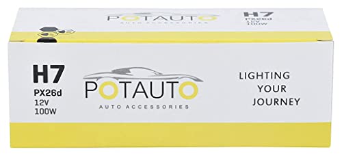 Image of Potauto H7 STANDARD Head Light Halogen Bulb For Car, 12V 100W - PX26d | 3200K | Pack of 10