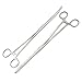 LAJA Imports Forceps, Straight 12