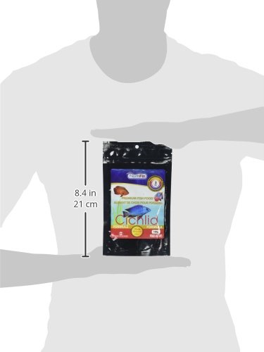 Northfin Food Cichlid Formula 3Mm Pellet 100 Gram Package #TOP2