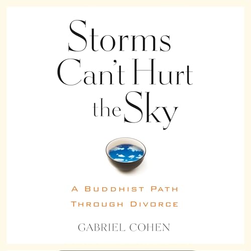 The Storms Can't Hurt the Sky cover art