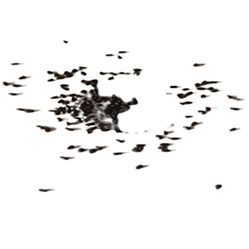 Zaden voor Tuinieren, 100 Stks Drosera Lovellae Zonnedauw Insectivorous Plant Gemakkelijk Grow Tuin Bonsai Decor - 4 # - Afbeelding 7