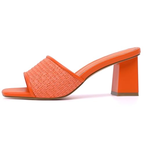 Image of vivianly Women Clear Low Block Heels Transparent Sandals