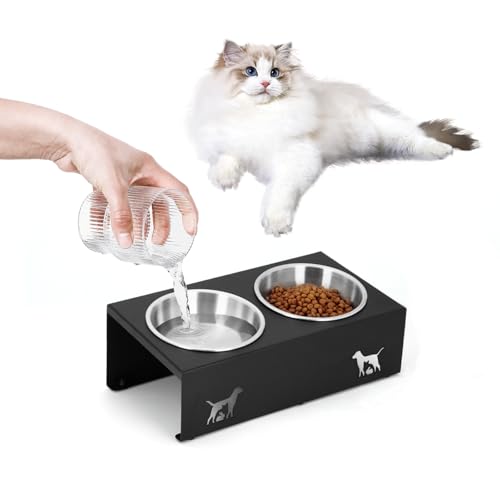 LYCC Elevated Cat Food Bowl,15°Tilted Stand Anti Vomiting Raised Cat Dishes for Food and Water,2 Stainless Steel Bowls,Non-Slip No Spill,Cats and Puppy