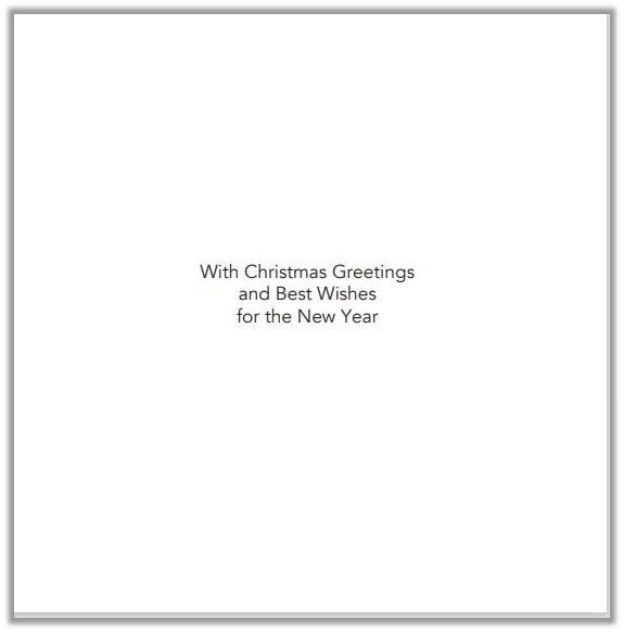 Noel Tatt Charity Christmas Cards Pack of 10, Charity Christmas Cards with Partridge in a Pear Tree Design - Image 2
