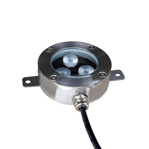GUODDM Faretto Subacqueo A LED Sottile, in Acciaio Inossidabile, Appositamente Progettato per Laghetti con Carpe Koi, Illuminazione per Laghetti E Giardini Acquatici(White,3W(DC12V))