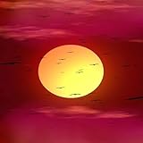 bateau sunbird corsair 150  Sunbird