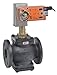 Belimo | G665C+AFX24-MFT-S-X1 | Globe Valve | 2.5" | 2 Way | 65?Cv | w/ Spg Rtn | 24V | MFT | SW