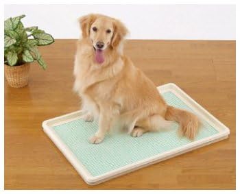 大型犬用トイレトレーニング XL メッシュタイプしつけるトレー Amazon | しつけるトレー XL メッシュタイプ | ノーブランド品
