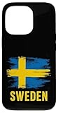 Schwedische Distressed Flag Design