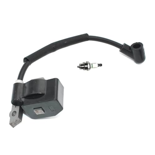 Module de bobine d'allumage 369143010 bougie BM6A débroussailleuse