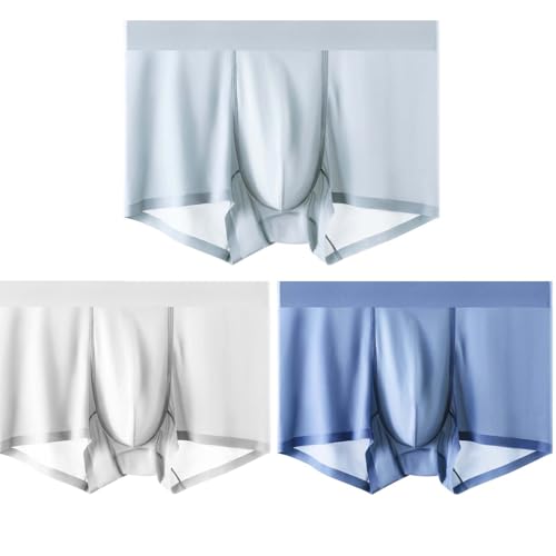 Ice Silk Men's Underwear Briefs See Thru Underwear Sexy Lingerie for Man