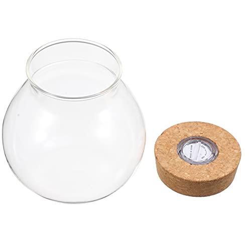 NUOBESTY Round Glass Jars with Cork Lid, Small Glass Cork