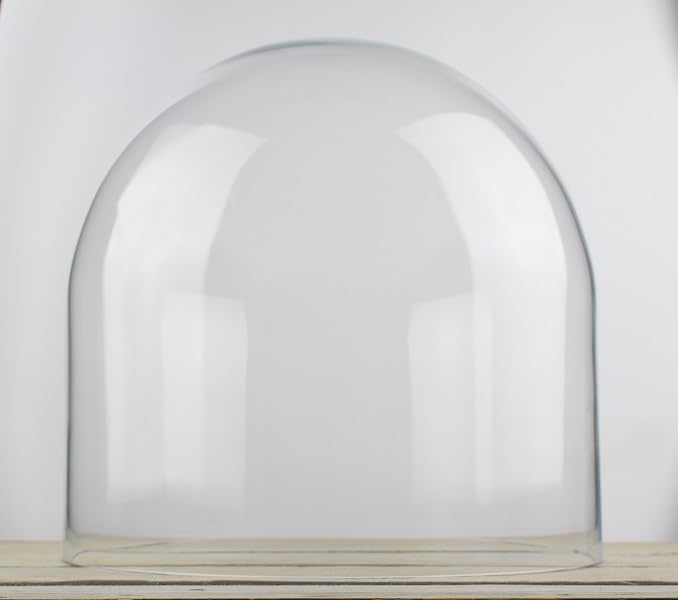 EMH Campana de cristal grande de 35 x 35,5 cm