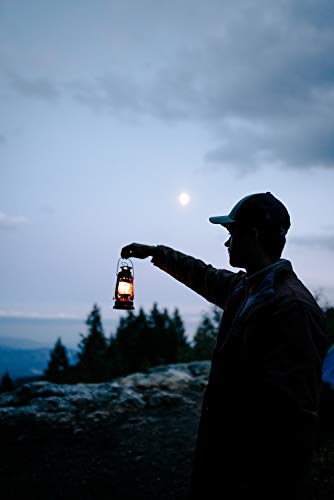 Stansport 8" Hurricane Lantern (130) #TOP7