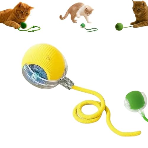 C^NeBuȌƔL̂ - 360°X}[g[O{[ALƌ̂߂̃[VANeBudybgAy^ƗVу{[(7)