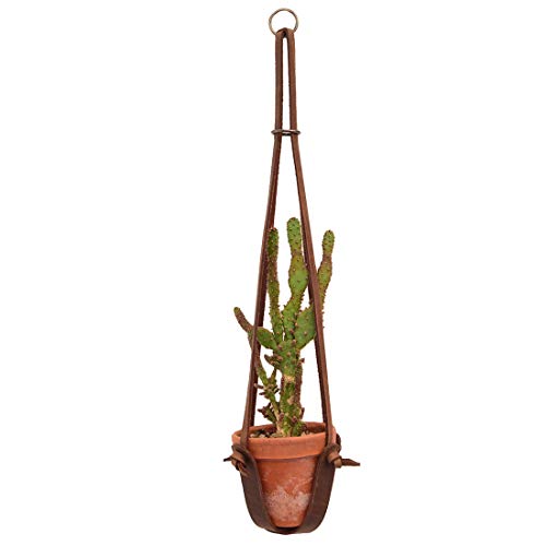 Hide & Drink Plant Holder, Plant Hanger, Indoor Decoration, Full Grain Leather cover