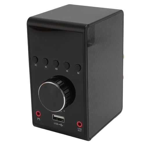 Wzmacniacz Mocy Audio Bluetooth 5.0, Amplituner Stereo HiFi o Mocy 200 W z USB, Dwukanałowy Bezprzewodowy Głośnik o Mocy 100 W + 100 W, Wzmacniacz do Samochodowego Baru Domowego