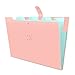 Espansione della cartella di file, HAISSKY Letter A4 Tasche di carta Organizzatore di documenti di fisarmonica, 5 tasche