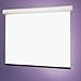 Luma 2 Matte White Manual Projection Screen Viewing Area: 10