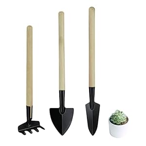 Andiker 3 stuks bloemen tuingereedschap set, duurzaam handgereedschap met antislip ergonomische handgrepen, sappig gereedschap set voor buiten tuinieren cadeau voor vrouw en moeder (dun handvat)