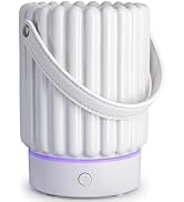 VICTORIA AROMA Essential Oil Diffuser - USB-Powered 100ml Multifunctional Aromatherapy Diffuser w...