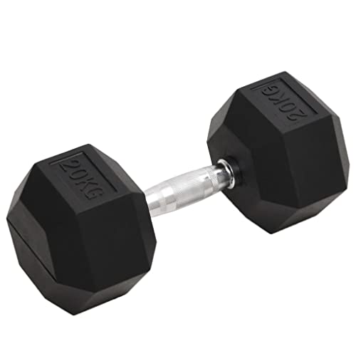 vidaXL Pesa, 20 kg, hierro fundido