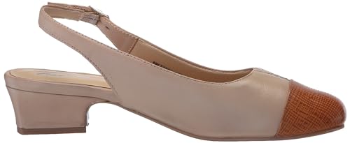 Image of Trotters