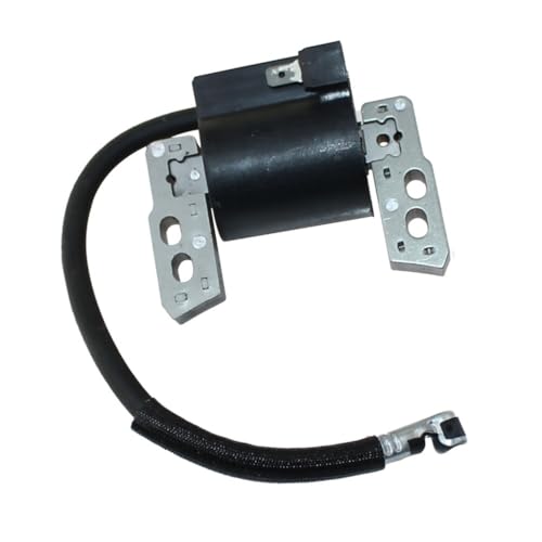 Bobine d'allumage 796964 pour pièce de rechange moteur 695711
