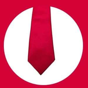 THE BOW TIE HOUSE Adjustable Satin Neck Tie for Kids | Neck Tie for Boys | Toddler & Youth Necktie | Perfect for Weddings, Graduations, School Uniforms, and | Red - 6 to 10 Years 2