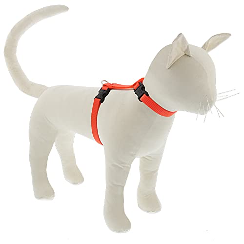 Lupine Cat and Small Pet H-Style Harness 1/2