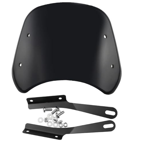 Déflecteur de pare-brise moto FB Hipster HPS 125 300 : carénage protection contre le vent