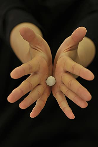 Art Clay Silver 50g A-275 (japan import)