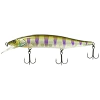 Amazon.co.jp: JACKALL(ジャッカル) RVミノー 110SP POL