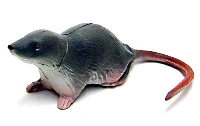 Amazon | 食玩 チョコエッグ 日本の動物 第5弾 124 カワネズミ 通販