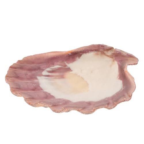 VOSAREA Vide-poches Coquillage Organisateur Plateau à Bijoux Coquillage Naturel Porte-bagues Et Coupelles De Rangement Décoration Intérieure