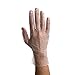 Dynarex 2613 Safe-Touch Vinyl Exam Glove, Powder Free, Large (Pack of 100)