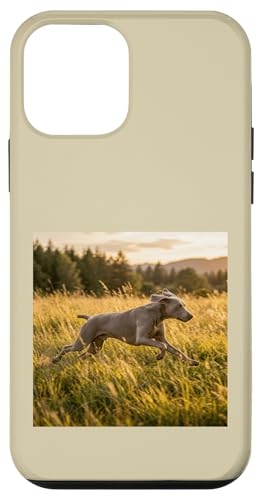 Weimaraner �����j���O���h�E �T���Z�b�g �t�B�[���h �V�[�� �X�}�z�P�[�X iPhone 12 mini �p