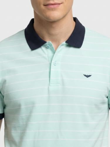 Image of Park Avenue Men Slim Fit Stripe Pattern Pure Cotton Polo Neck Half Sleeve Casual T-Shirt